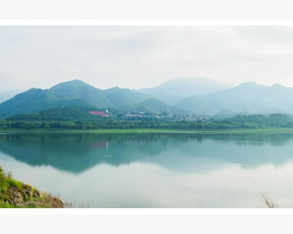 财务会计核心目标与现代价值探讨