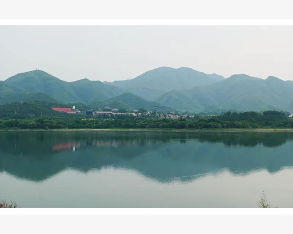 贴三伏贴：舒缓脾胃，守护健康
