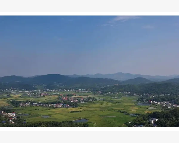 儿童脾胃火气大，这些食物帮助降火又养胃